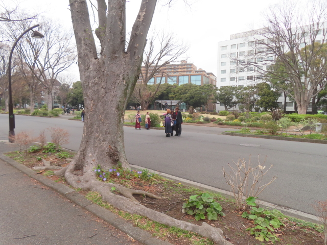 ファイル 8922-1.jpg