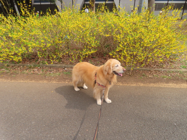 ファイル 8922-2.jpg