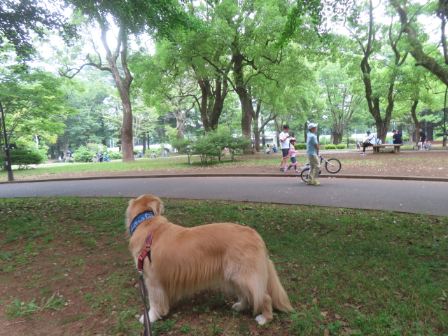 ファイル 8962-4.jpg