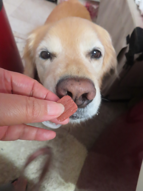 ファイル 8963-5.jpg