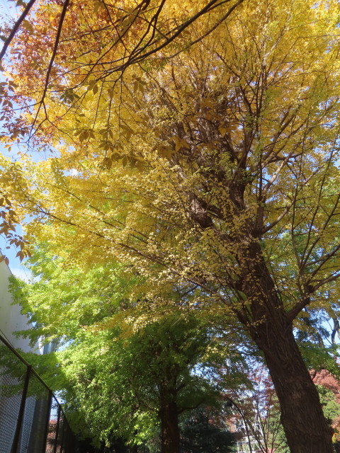 ファイル 9021-1.jpg