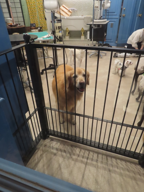 ファイル 9021-2.jpg