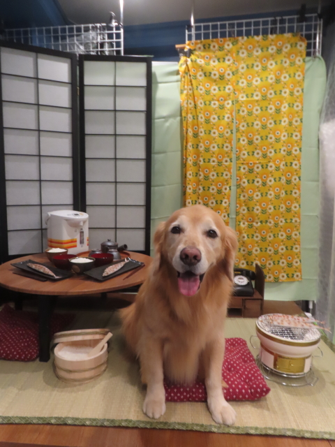 ファイル 9021-3.jpg