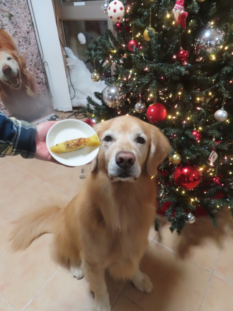 ファイル 9021-4.jpg