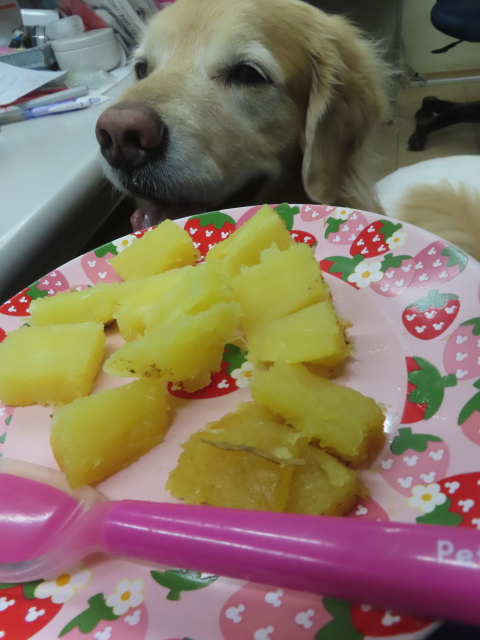 ファイル 9021-5.jpg