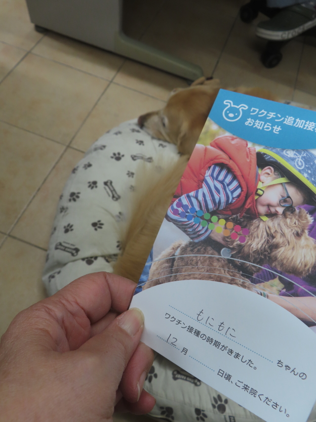 ファイル 9025-1.jpg