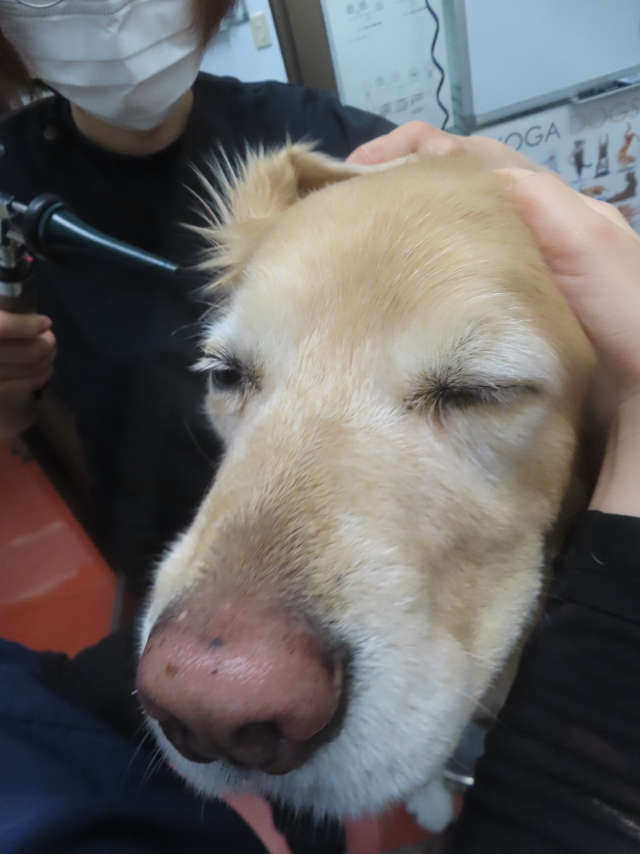 ファイル 9025-3.jpg