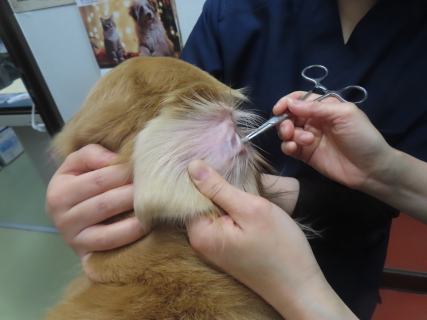 ファイル 9025-4.jpg