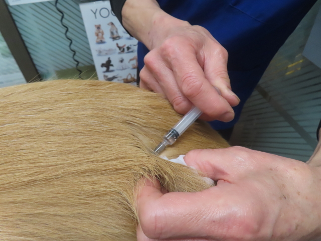 ファイル 9026-2.jpg