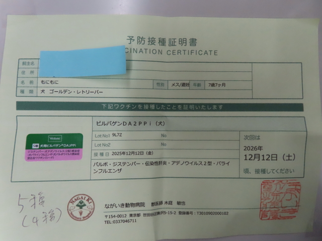 ファイル 9026-5.jpg