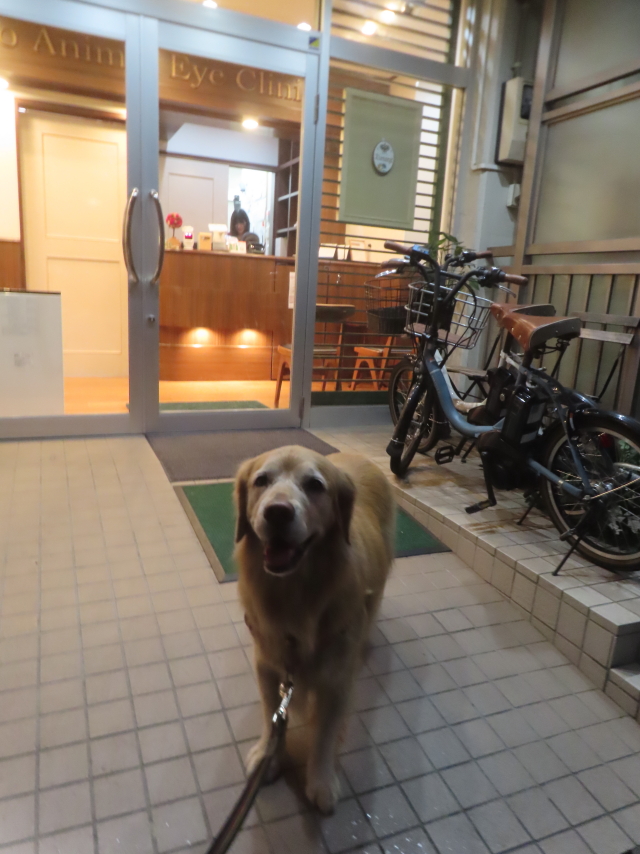 ファイル 9029-4.jpg