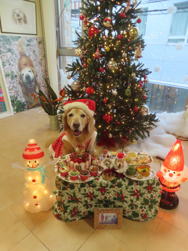 ファイル 9030-1.jpg