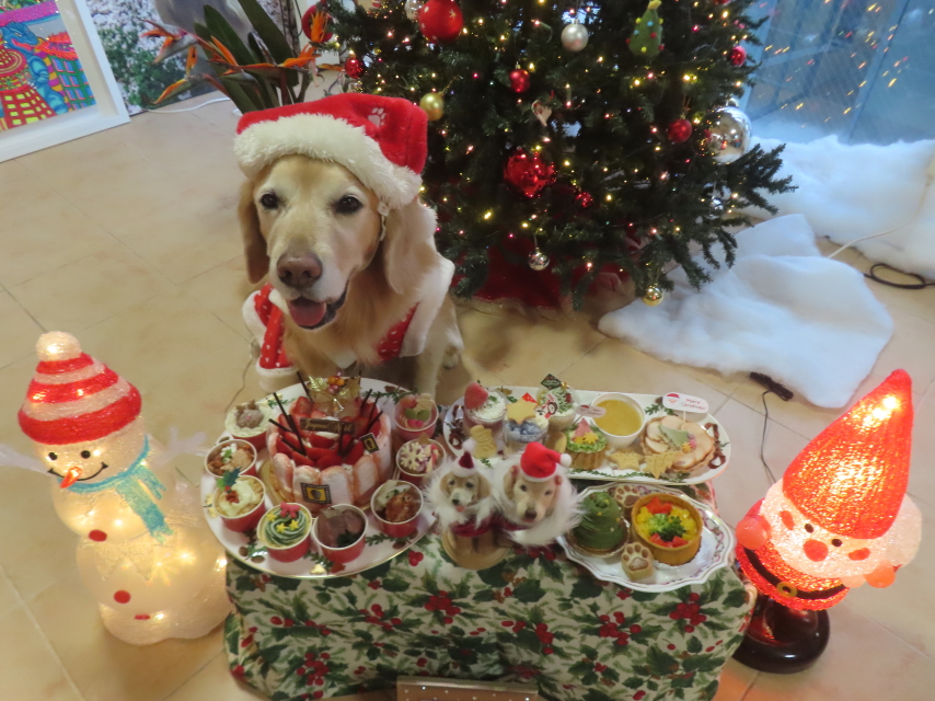 ファイル 9030-2.jpg