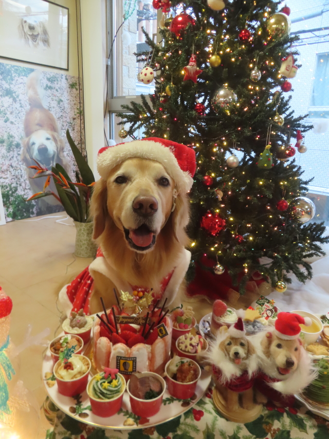 ファイル 9030-3.jpg