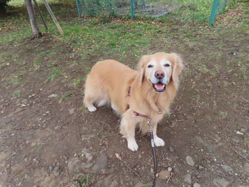 ファイル 9032-3.jpg