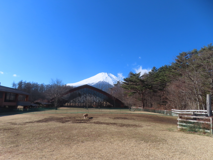 ファイル 9033-1.jpg