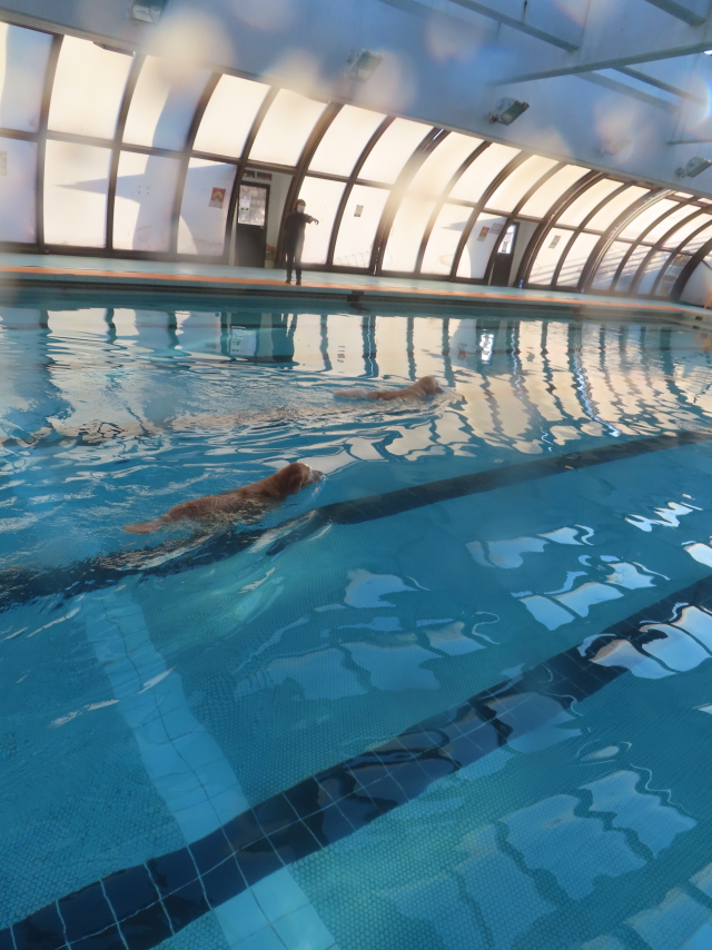 ファイル 9033-3.jpg