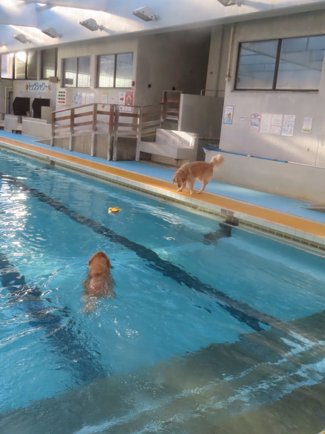 ファイル 9033-4.jpg