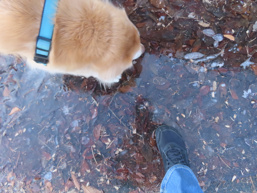 ファイル 9034-1.jpg