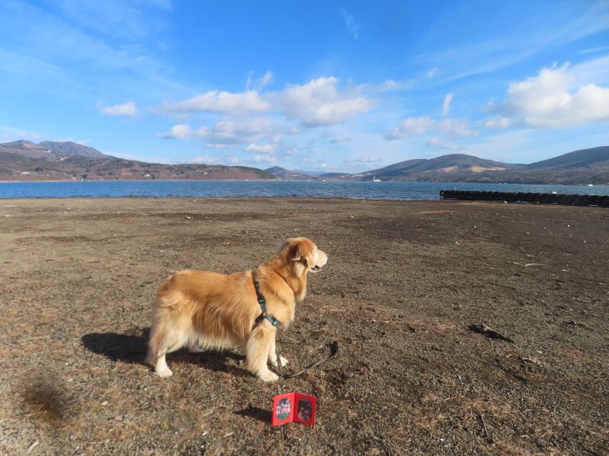 ファイル 9034-2.jpg