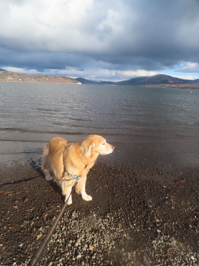 ファイル 9034-3.jpg