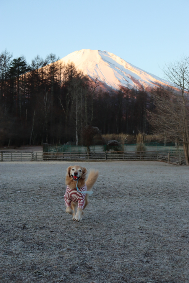 ファイル 9035-2.jpg