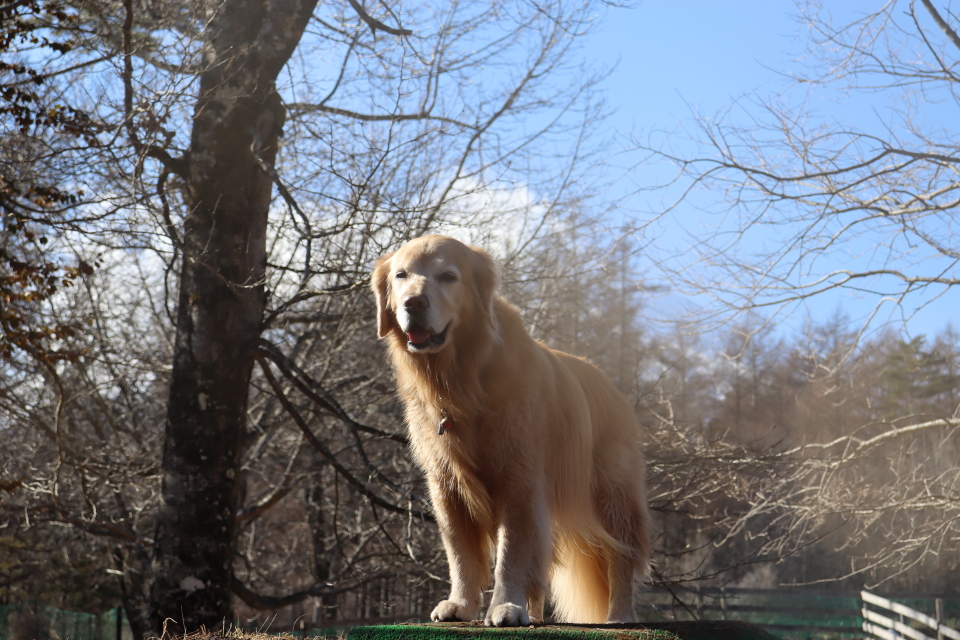 ファイル 9035-3.jpg