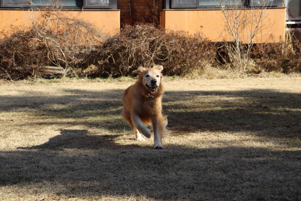 ファイル 9035-5.jpg