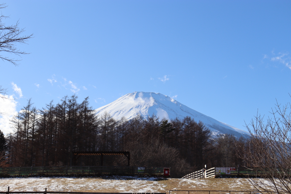 ファイル 9036-5.jpg