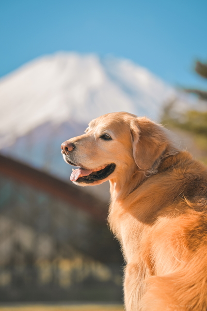 ファイル 9037-4.jpg