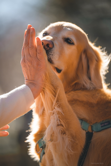 ファイル 9037-5.jpg