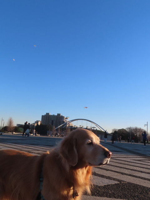 ファイル 9038-1.jpg