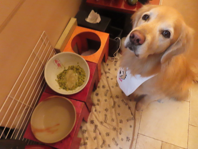 ファイル 9038-2.jpg