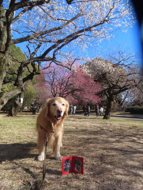 ファイル 9040-5.jpg