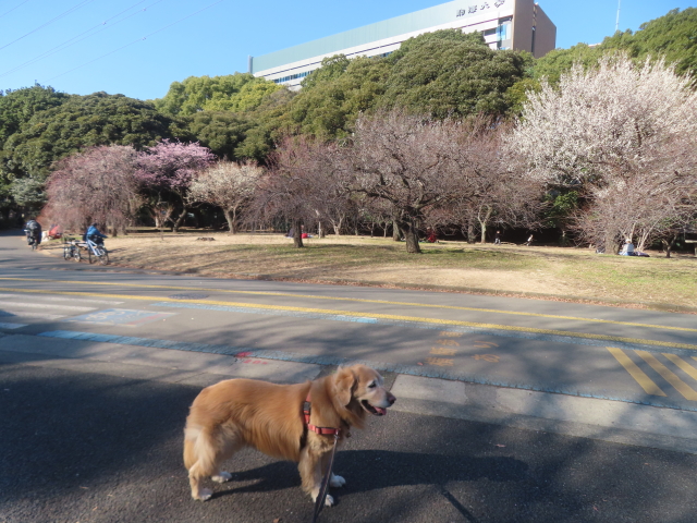 ファイル 9041-1.jpg