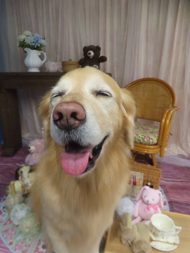 ファイル 9045-3.jpg