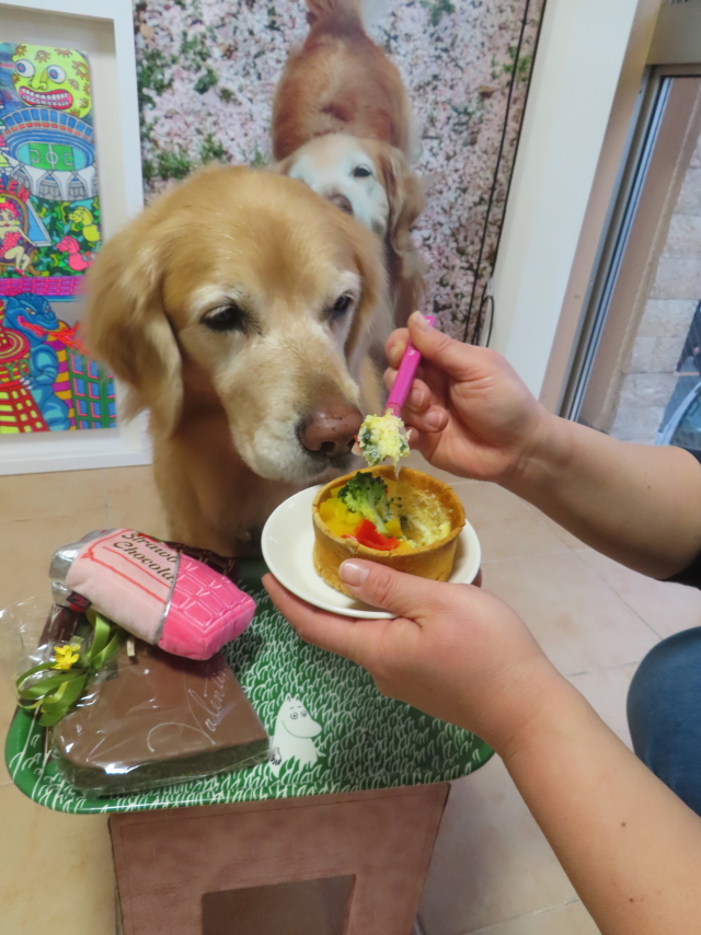 ファイル 9046-3.jpg