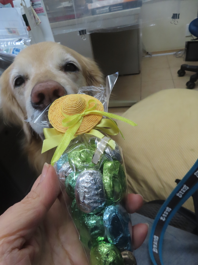 ファイル 9046-5.jpg