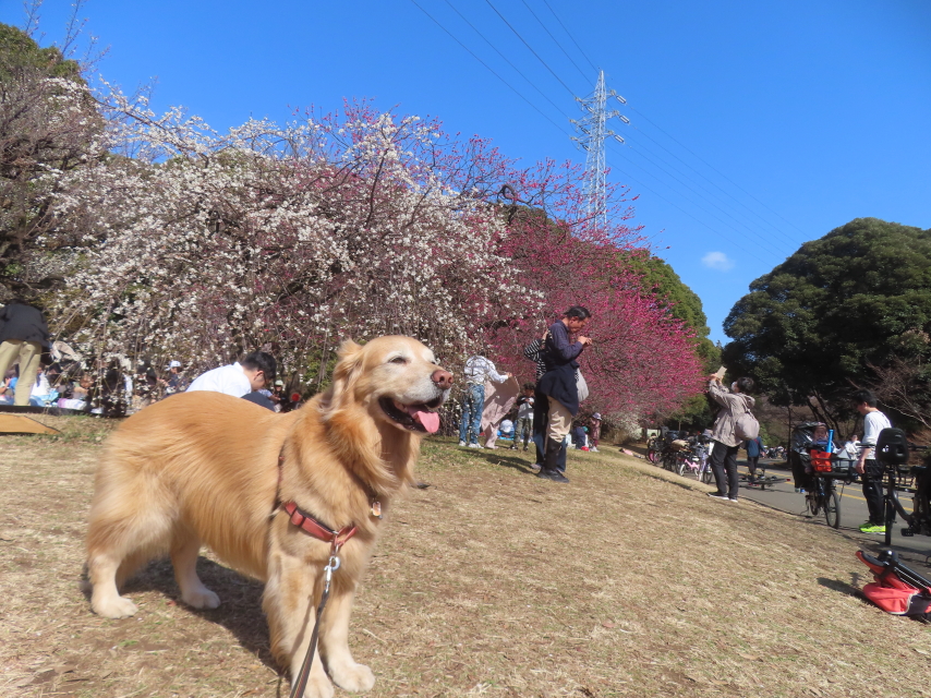 ファイル 9047-3.jpg