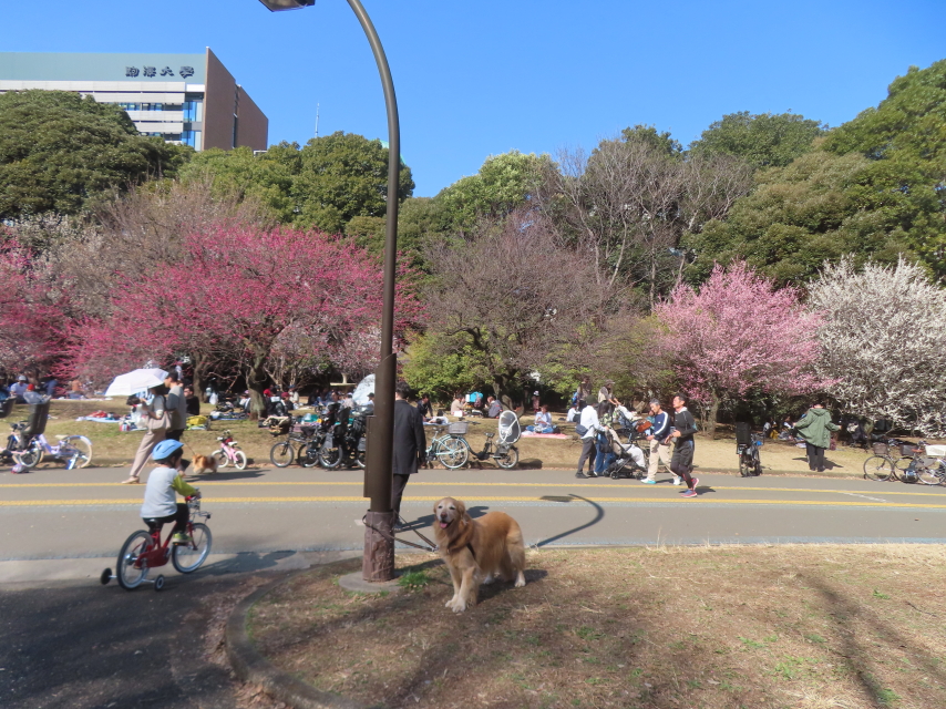 ファイル 9047-4.jpg