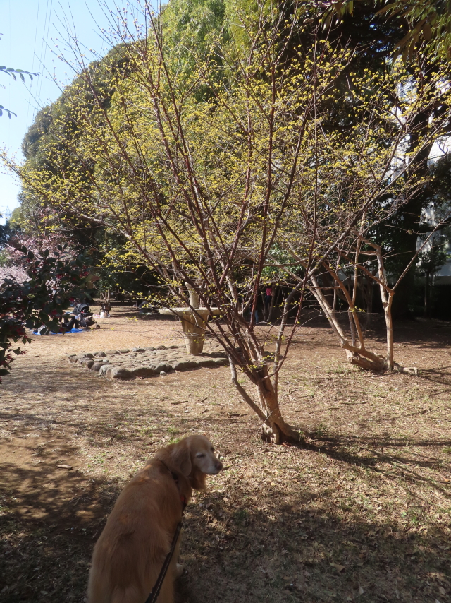 ファイル 9047-5.jpg