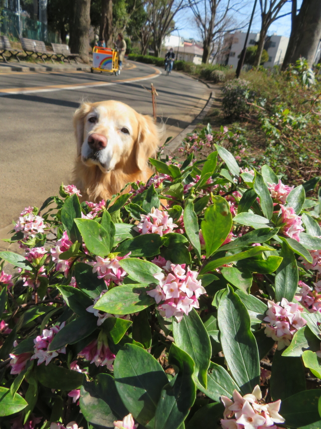 ファイル 9050-1.jpg