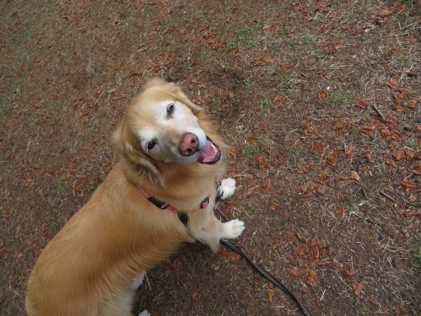 ファイル 9050-2.jpg