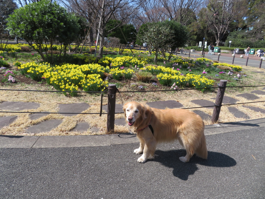 ファイル 9050-3.jpg