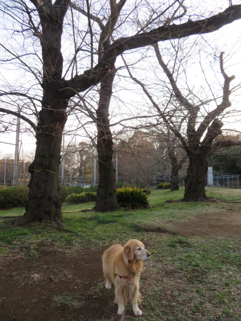 ファイル 9054-2.jpg