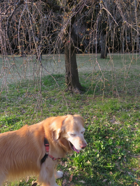 ファイル 9055-1.jpg