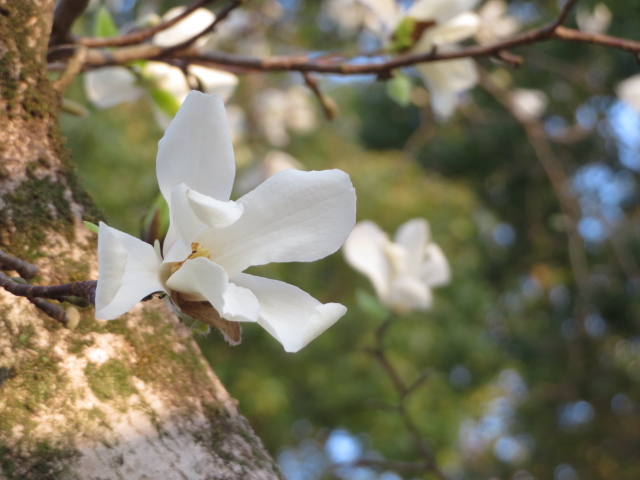 ファイル 9055-4.jpg