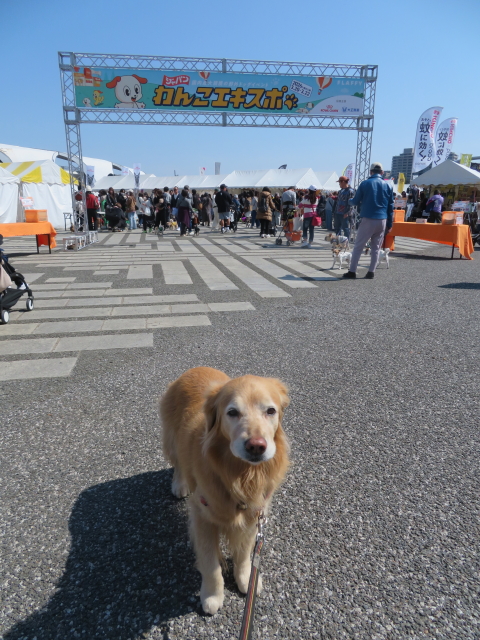 ファイル 9056-1.jpg