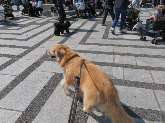 ファイル 9056-3.jpg