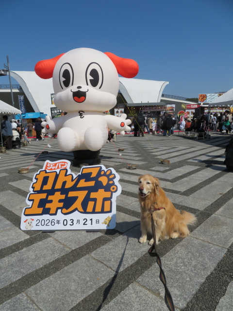 ファイル 9056-4.jpg